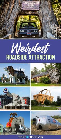 the weirdest roadside attraction is located in this photo collage, and it's unique to see