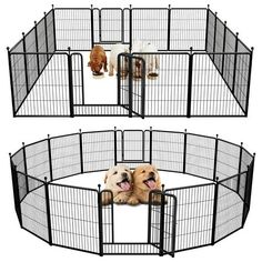 two dogs are sitting in their pet playpens and one dog is laying down