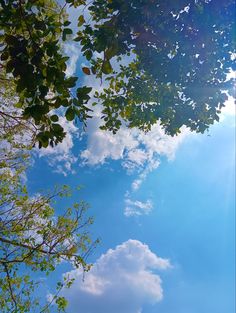 the sun shines brightly through the leaves of trees on a clear day with blue skies in the background