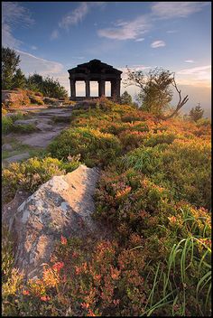 a gazebo on top of a hill surrounded by wildflowers and trees at sunset