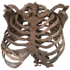 an old cast iron skeleton is shown on a white background