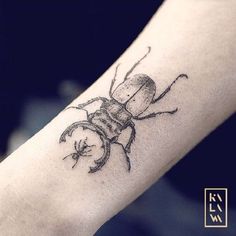 a small beetle tattoo on the arm