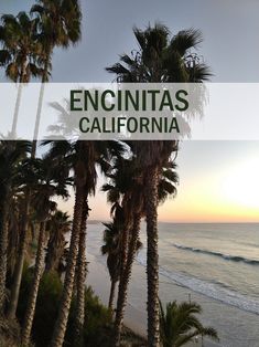 palm trees on the beach with text overlay that reads encinitass california