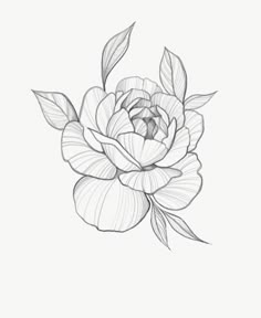 a black and white drawing of a flower