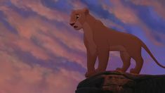 the lion king standing on top of a rock in front of a purple and blue sky