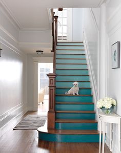 a white dog sitting on top of a blue stair case next to a wooden floor