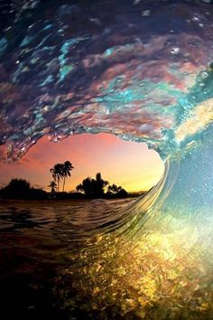 an image of the inside of a wave with stars and palm trees in the background