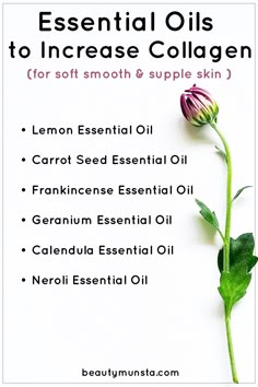 Use essential oils for collagen production to keep your skin looking supple and youthful for long! Calendula Essential Oil, Carrot Seed Essential Oil, Essential Oil Beauty, Essential Oils For Face