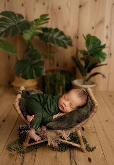 a newborn baby is sleeping in a wooden chair next to potted plants and greenery