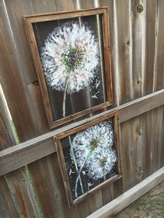 two framed pictures with dandelions in them hanging on a wooden fence next to each other