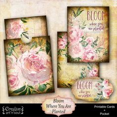 three cards with pink flowers and the words bloom where you are planted