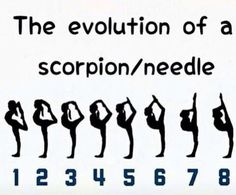 the evolution of a scorpion / needle sign is shown in black and white, which one are you? commentent below