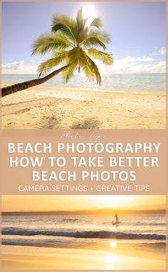 a palm tree on the beach with text overlay that reads, how to take better beach photos