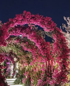 pink flowers are blooming all over the garden