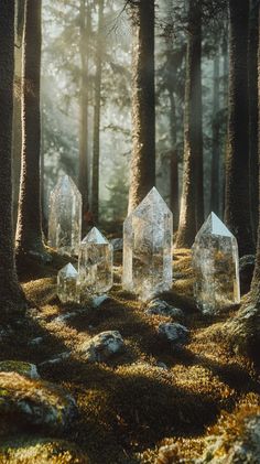 A breathtaking forest glade scene featuring small hexagonal prism crystals of tourmaline (5-10 cm) nestled among moss and tall trees. Soft earthy colors create a light and airy aesthetic. No text! Fotorrealism.