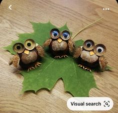 three little owls sitting on top of a green leaf