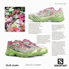 Pink And Green Sneakers, Funky Shoes, Moda Chic, Shoe Inspo, Aesthetic Shoes, Swag Shoes, Dream Shoes, Pretty Shoes