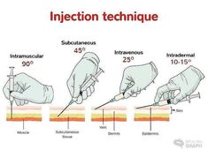 Medicos Phlebotomy Study, Studera Motivation, Basic Anatomy And Physiology