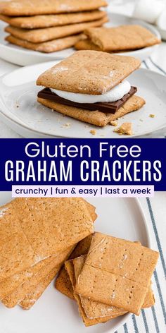 gluten free graham crackers on a white plate