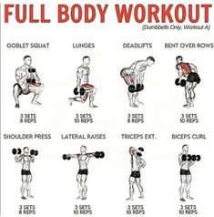 the full body workout poster shows how to use dumbbells for back and shoulders