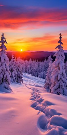 the sun is setting over some snow covered trees and hills with tracks in the snow