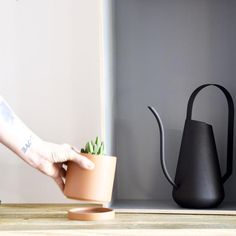 a person holding a potted plant next to a black watering can on a table