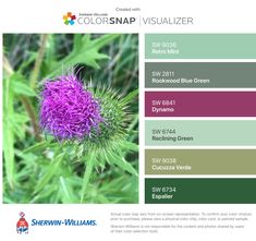 a purple flower with green leaves in the background and color swatches below it, along with text that reads colorsnap visualizer