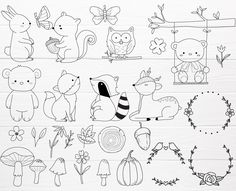 an assortment of hand drawn animals and plants