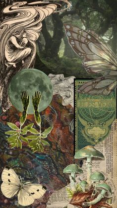 an altered collage with butterflies, mushrooms and other things in the background is a woman's face