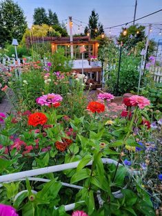 a garden filled with lots of colorful flowers