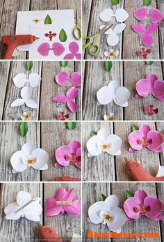 paper flowers are cut out and placed on the table