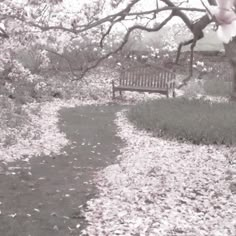 a bench sitting in the middle of a park next to a leaf covered path and tree