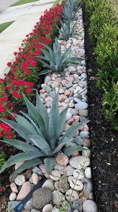 a garden with rocks and plants in the center, along side a sidewalk that has red flowers on both sides