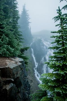 a waterfall surrounded by trees in the middle of a foggy mountain area with pine trees