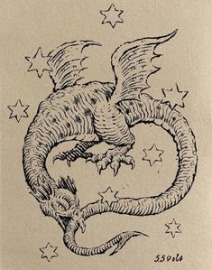 a black and white drawing of a dragon with stars on it's back ground