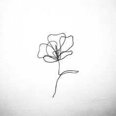 a single flower is drawn in black ink on a white paper background with the word love written below it