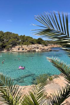 people are swimming in the clear blue water