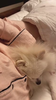 a small white dog laying on top of a bed next to a person in pink pajamas