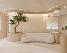 a living room filled with furniture and a bonsai tree in the middle of it