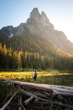 a person standing on a log in the middle of a lake with mountains in the background