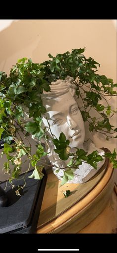 there is a plant growing out of a bust