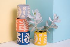 three different colored vases with plants in them