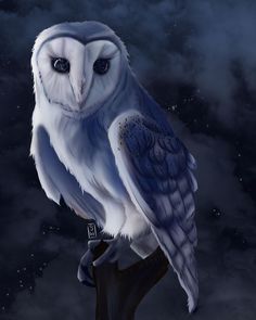 an owl sitting on top of a tree branch in the night sky with stars and clouds