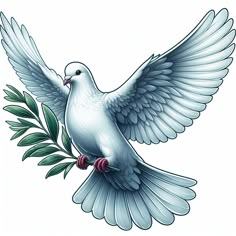 a white dove with its wings spread and olive branch in the foreground, on a white background