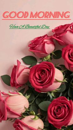 pink roses with green leaves are on the cover of a good morning greetings card