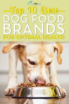 a dog eating food out of a bowl with the title top 10 best dog food brands for optimal health