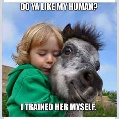 Get your FREE online horse riding lesson at www.lighthandsequitation.com. We share riding training tips, liberty, ground work exercises and ideas. For young or green horses, get free videos teaching natural horsemanship, tack pictures, birthday gifts beautiful barns quotes, equestrian crafts, treats, stables, funny stuff, hacks, saddle design, wild horses, shows, farms, dressage, jumping, reining, patterns, western and english drawing, art and photography.