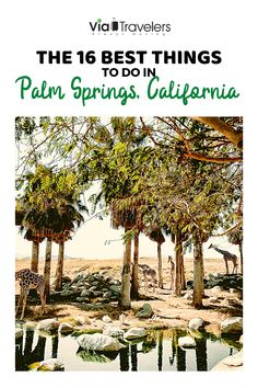 palm trees and giraffes in the background with text that reads, the 16 best things to do in palm springs, california