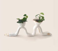 two white ceramic planters with green plants in them, one holding a potted plant