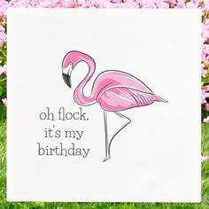 a pink flamingo birthday card with the words oh flock, it's my birthday